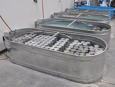 concrete maturity methods
