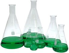 Erlenmeyer Flasks