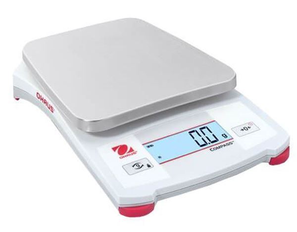 Portable Scales 