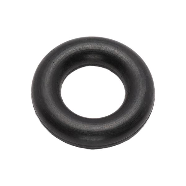 Pump Plunger O-Ring